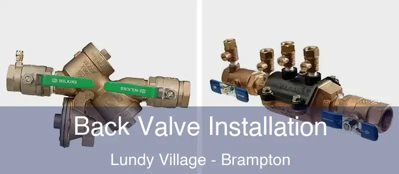 Back Valve Installation Lundy Village - Brampton