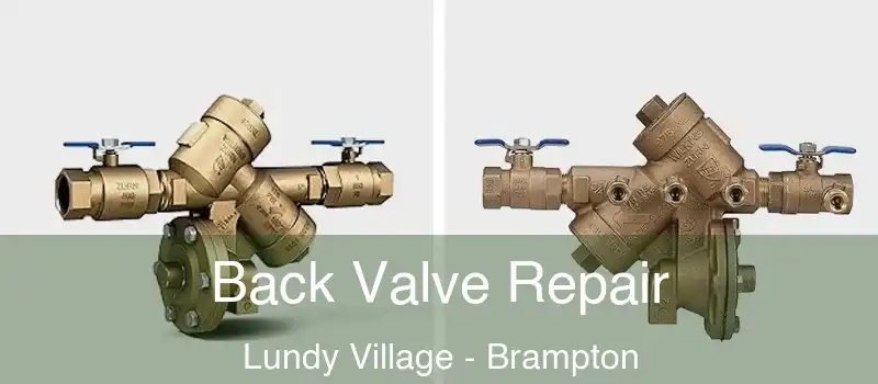  Back Valve Repair Lundy Village - Brampton