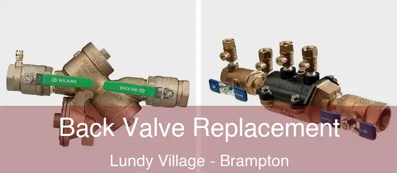Back Valve Replacement Lundy Village - Brampton