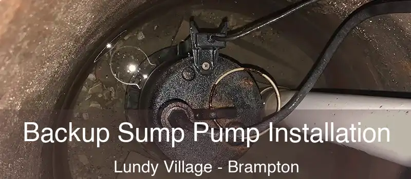 Backup Sump Pump Installation Lundy Village - Brampton