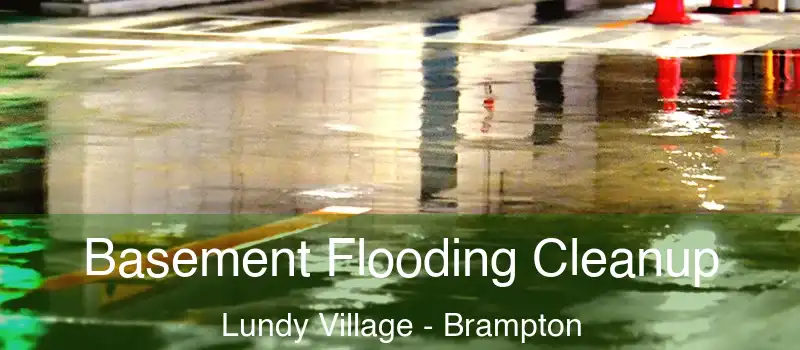 Basement Flooding Cleanup Lundy Village - Brampton