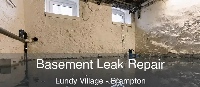  Basement Leak Repair Lundy Village - Brampton