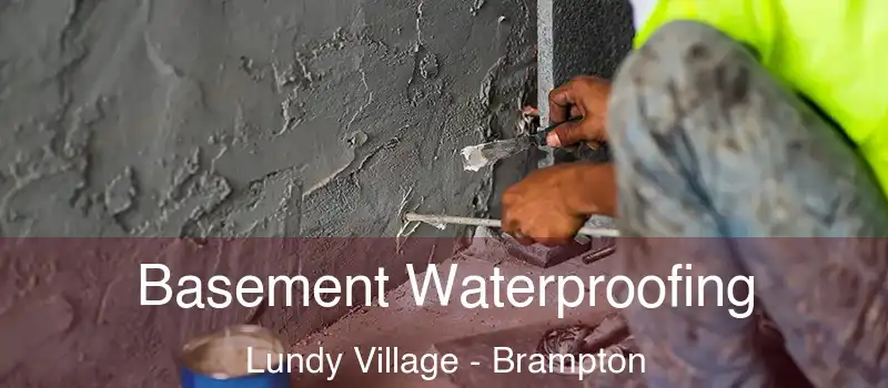  Basement Waterproofing Lundy Village - Brampton