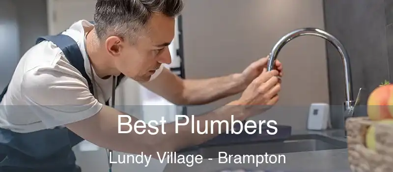  Best Plumbers Lundy Village - Brampton