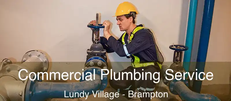 Commercial Plumbing Service Lundy Village - Brampton