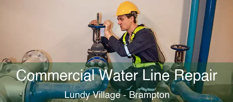 Commercial Water Line Repair Lundy Village - Brampton