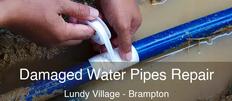 Damaged Water Pipes Repair Lundy Village - Brampton