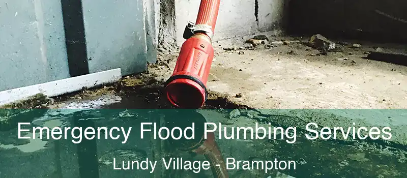 Emergency Flood Plumbing Services Lundy Village - Brampton