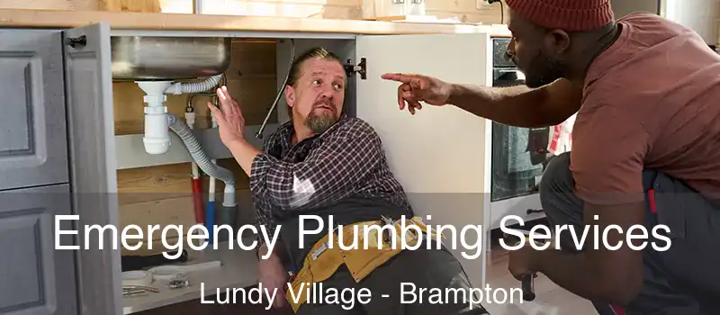  Emergency Plumbing Services Lundy Village - Brampton