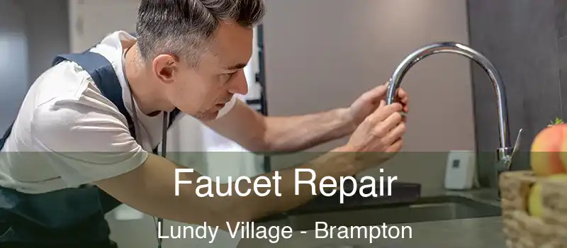  Faucet Repair Lundy Village - Brampton