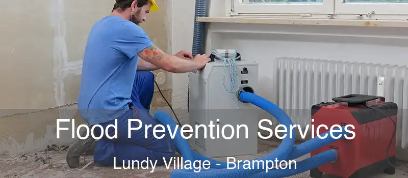  Flood Prevention Services Lundy Village - Brampton