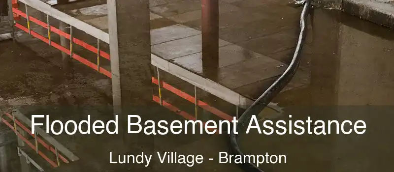 Flooded Basement Assistance Lundy Village - Brampton