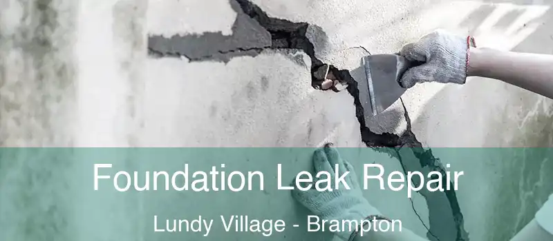  Foundation Leak Repair Lundy Village - Brampton