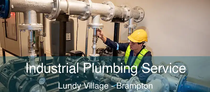 Industrial Plumbing Service Lundy Village - Brampton