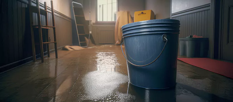 Flooded Basement Restoration Assistance in Lundy Village, Brampton