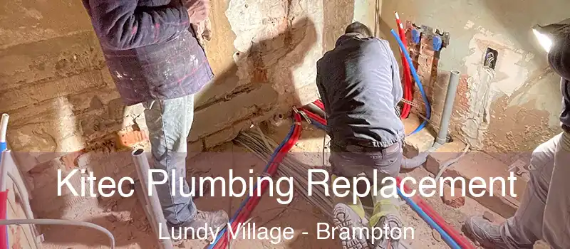  Kitec Plumbing Replacement Lundy Village - Brampton