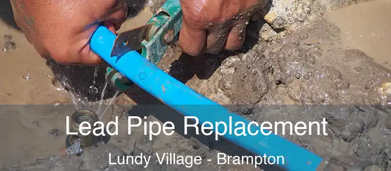  Lead Pipe Replacement Lundy Village - Brampton
