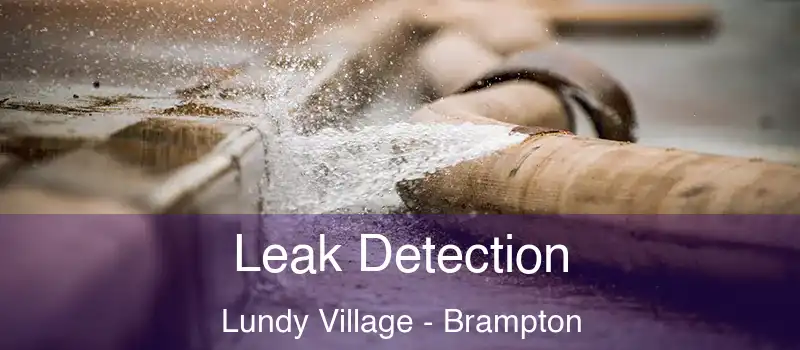 Leak Detection Lundy Village - Brampton