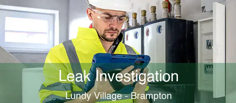  Leak Investigation Lundy Village - Brampton