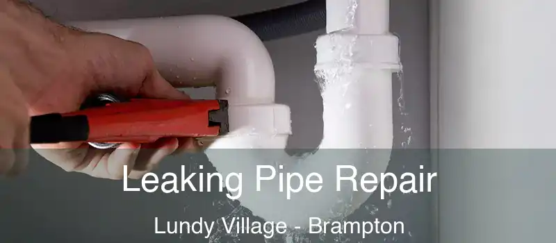 Leaking Pipe Repair Lundy Village - Brampton