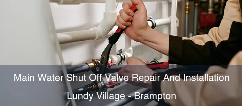  Main Water Shut Off Valve Repair And Installation Lundy Village - Brampton