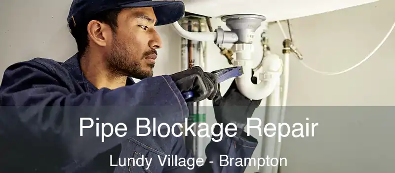  Pipe Blockage Repair Lundy Village - Brampton