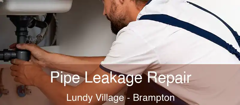  Pipe Leakage Repair Lundy Village - Brampton