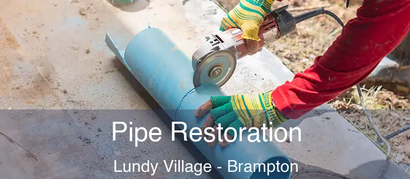 Pipe Restoration Lundy Village - Brampton