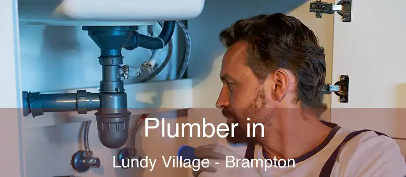  Plumber in Lundy Village - Brampton