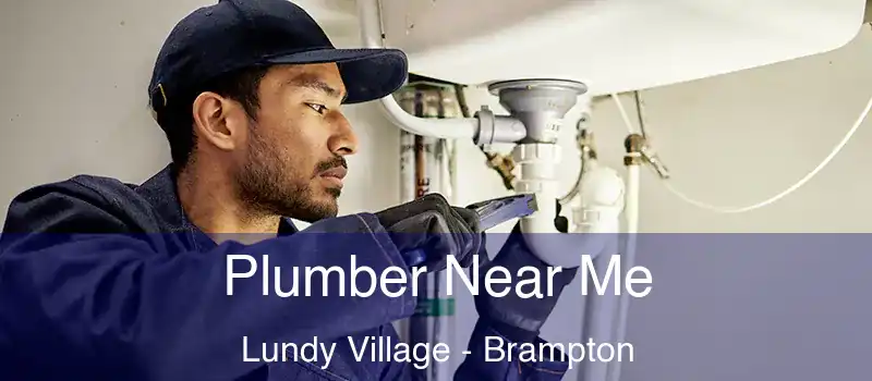  Plumber Near Me Lundy Village - Brampton