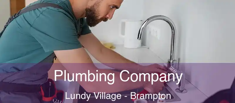  Plumbing Company Lundy Village - Brampton