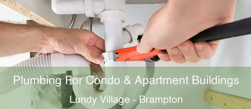  Plumbing For Condo & Apartment Buildings Lundy Village - Brampton