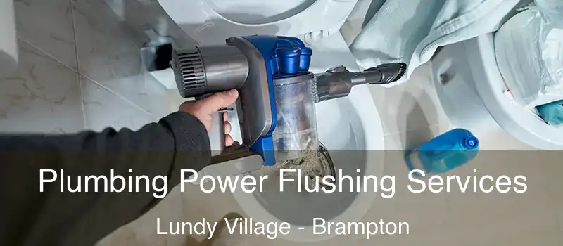  Plumbing Power Flushing Services Lundy Village - Brampton