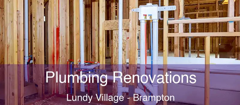  Plumbing Renovations Lundy Village - Brampton
