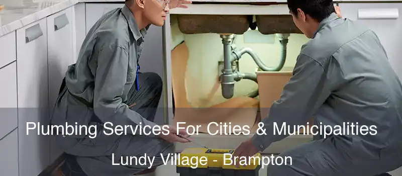 Plumbing Services For Cities & Municipalities Lundy Village - Brampton