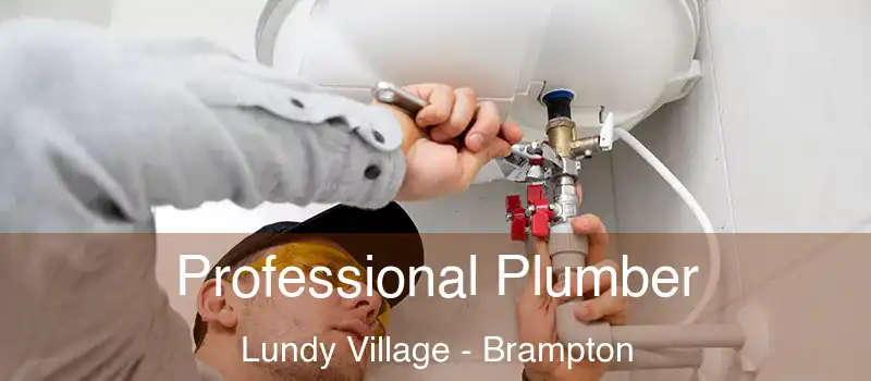  Professional Plumber Lundy Village - Brampton