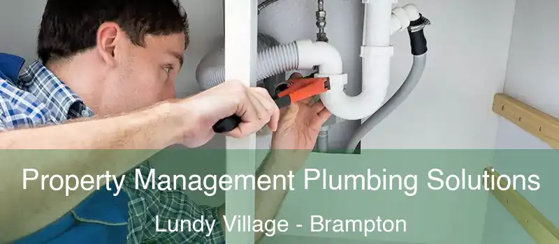  Property Management Plumbing Solutions Lundy Village - Brampton
