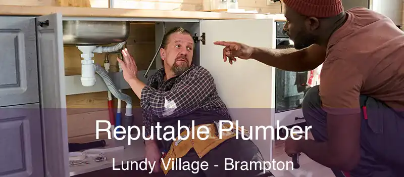  Reputable Plumber Lundy Village - Brampton