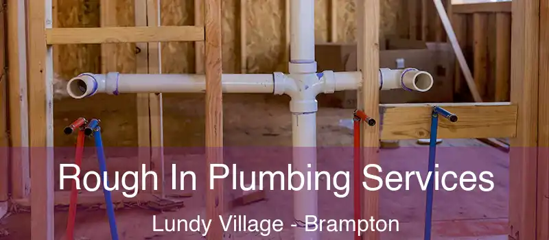  Rough In Plumbing Services Lundy Village - Brampton