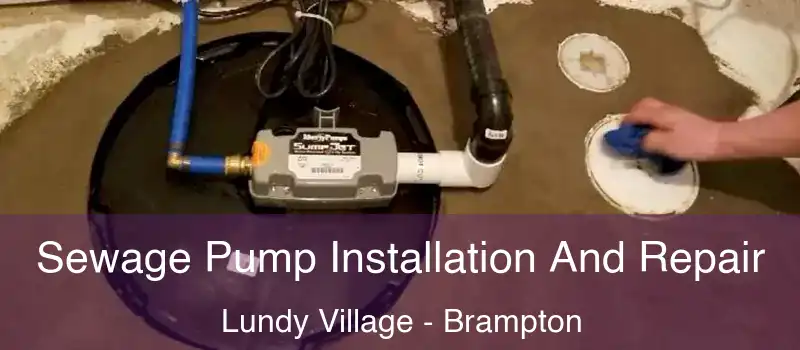 Sewage Pump Installation And Repair Lundy Village - Brampton