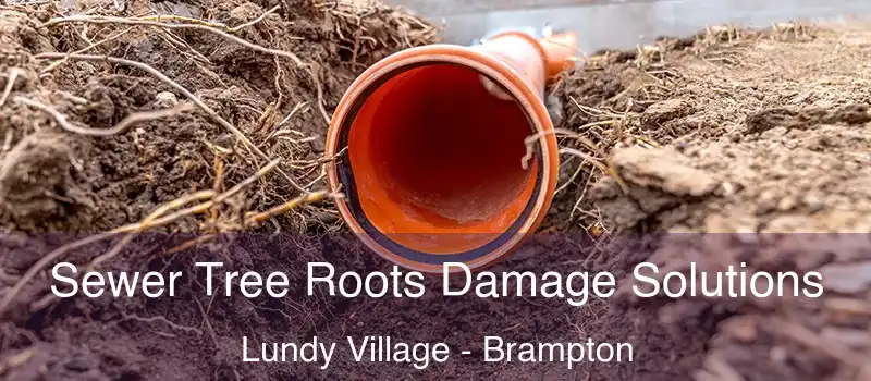  Sewer Tree Roots Damage Solutions Lundy Village - Brampton