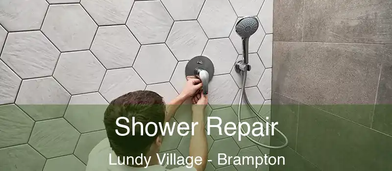 Shower Repair Lundy Village - Brampton