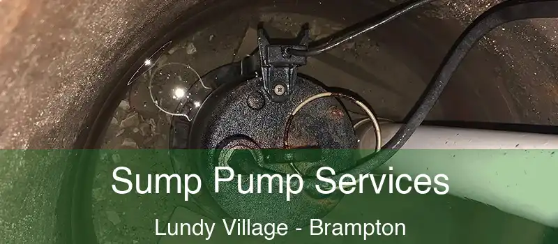 Sump Pump Services Lundy Village - Brampton