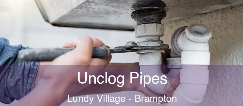  Unclog Pipes Lundy Village - Brampton