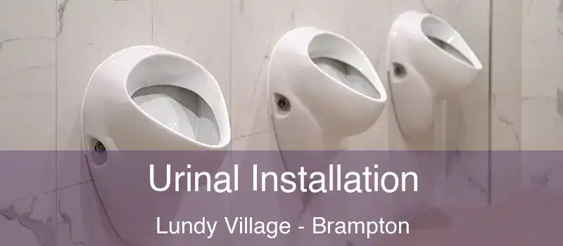 Urinal Installation Lundy Village - Brampton