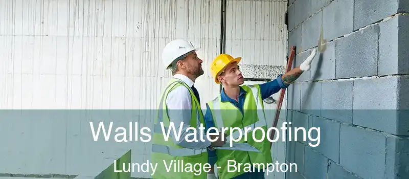 Walls Waterproofing Lundy Village - Brampton