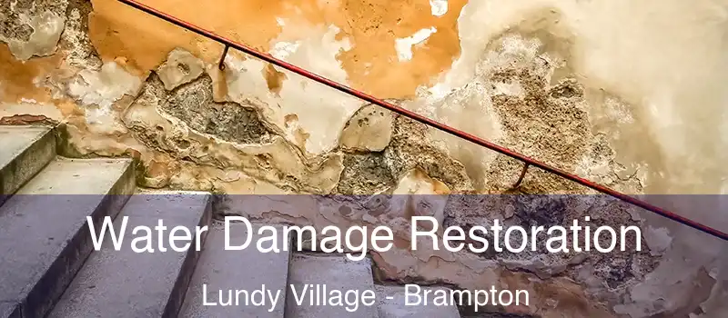  Water Damage Restoration Lundy Village - Brampton