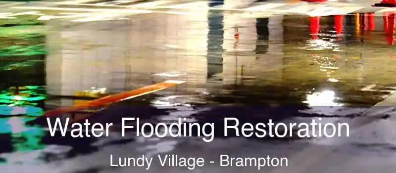 Water Flooding Restoration Lundy Village - Brampton