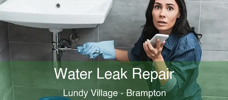 Water Leak Repair Lundy Village - Brampton