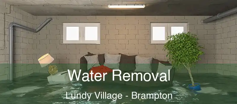Water Removal Lundy Village - Brampton